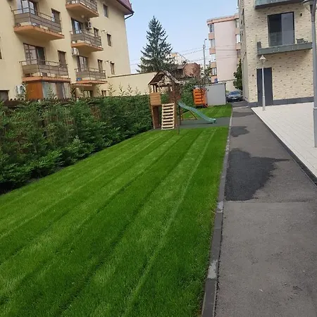 New Transilvania 클루지나포카