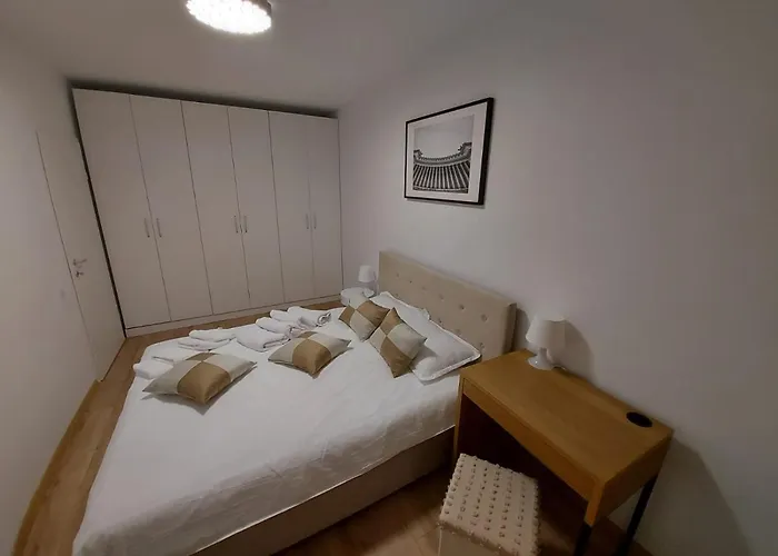 New Transilvania Cluj-Napoca