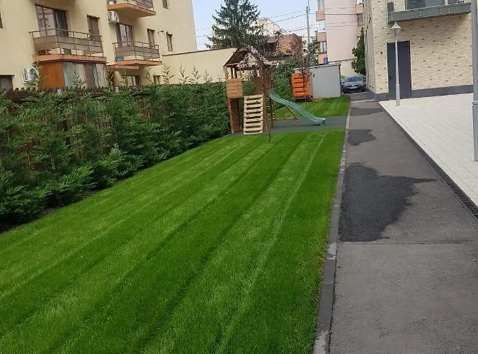 New Transilvania Cluj-Napoca